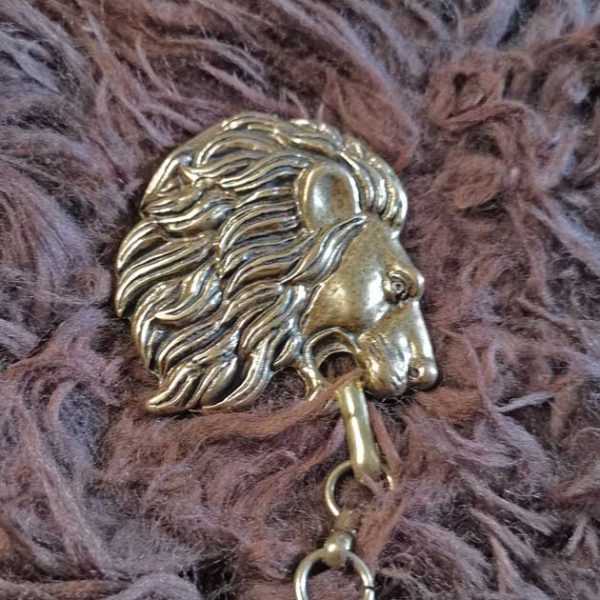 Löwe Fell oder Umhangschliesse – Bild 3