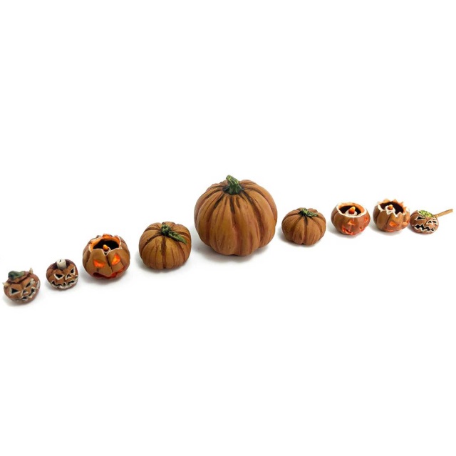 s414329983377326361_p1474_i391_w640.jpeg Kuerbis – Bild 1