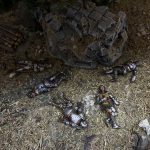 Tote Ritter – Bild 4