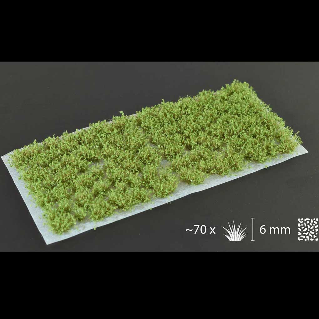 s414329983377326361_p2553_i358_w1020.jpeg Buesche Dark Green Shrubs – Bild 1
