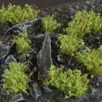 Buesche Dark Green Shrubs – Bild 3