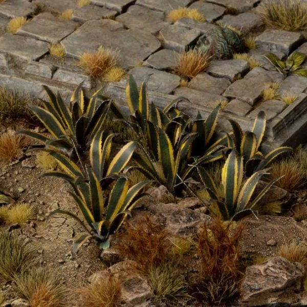Laser Pflanzen Agave – Bild 4