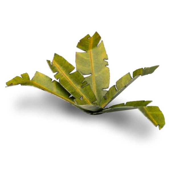 Laser Pflanzen Bananen Baum – Bild 5
