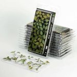 Laser Pflanzen Elefantenohren – Bild 5