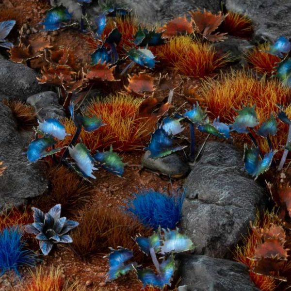 Laser Pflanzen Alien Flytrap – Bild 4