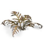 Laser Pflanzen vertrockneter Farn – Bild 3