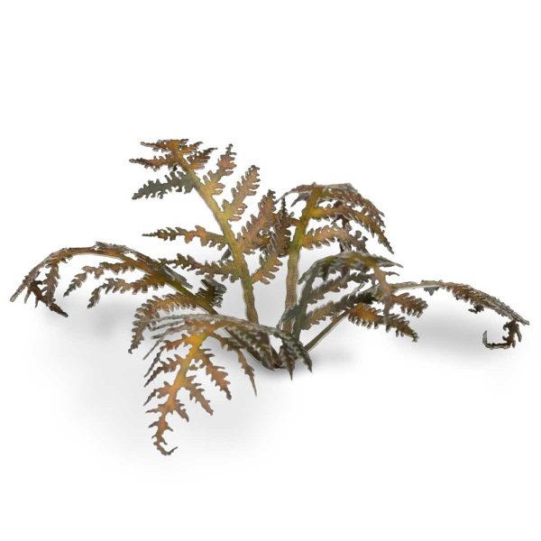 Laser Pflanzen vertrockneter Farn – Bild 3