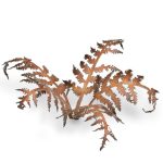 Laser Pflanzen vertrockneter Farn – Bild 4