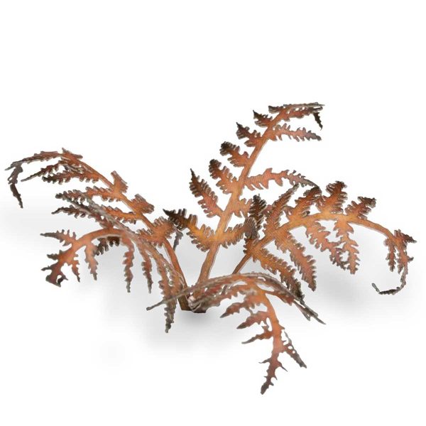 Laser Pflanzen vertrockneter Farn – Bild 4