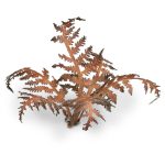 Laser Pflanzen vertrockneter Farn – Bild 5