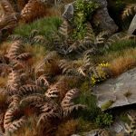 Laser Pflanzen vertrockneter Farn – Bild 6