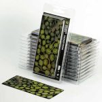 Laser Pflanzen Monstera