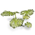 Laser Pflanzen Monstera – Bild 5