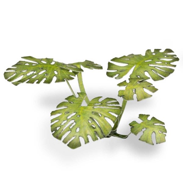 Laser Pflanzen Monstera – Bild 5