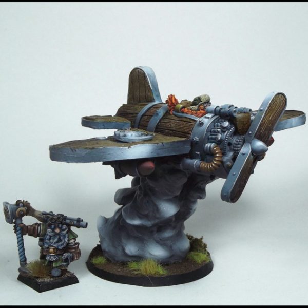 Zwergen Flugzeug – Bild 3